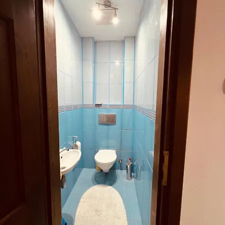 Levi 130 Villa Timişoara