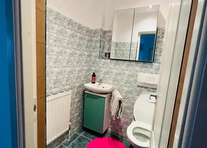 Levi 130 * Timişoara