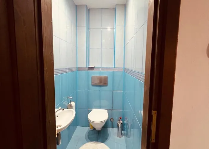 Levi 130 Villa Timişoara